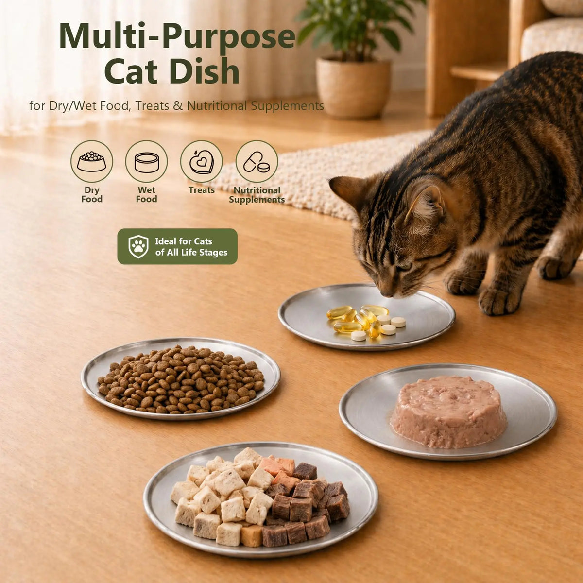 Stainless Steel Whisker Friendly Shallow Cat Bowls