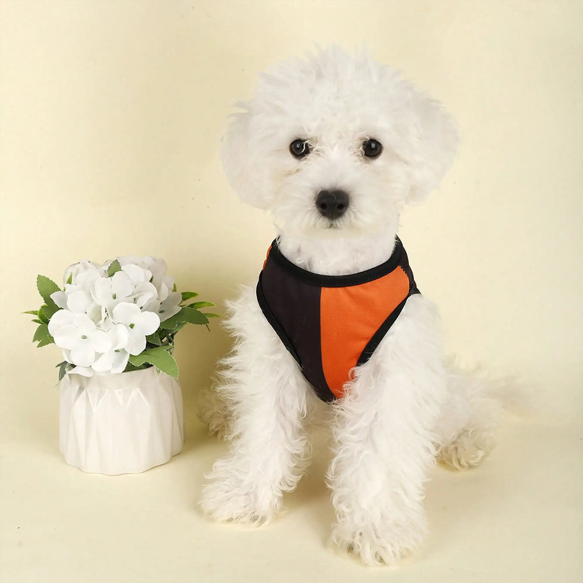 Funny Pumpkin Print Dog Costume Shirt for Holidays