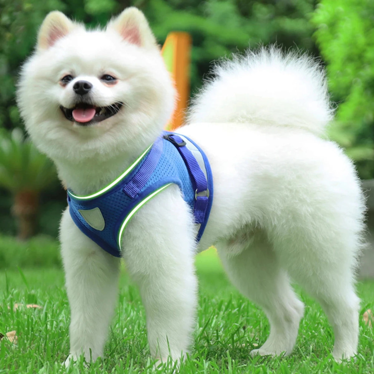 Pet Dog Cat Harness with Adjustable Leash Reflective Safety Mesh Chest Strap Collar Small Medium Dogs Vest Set XS/S/M/L/XL
