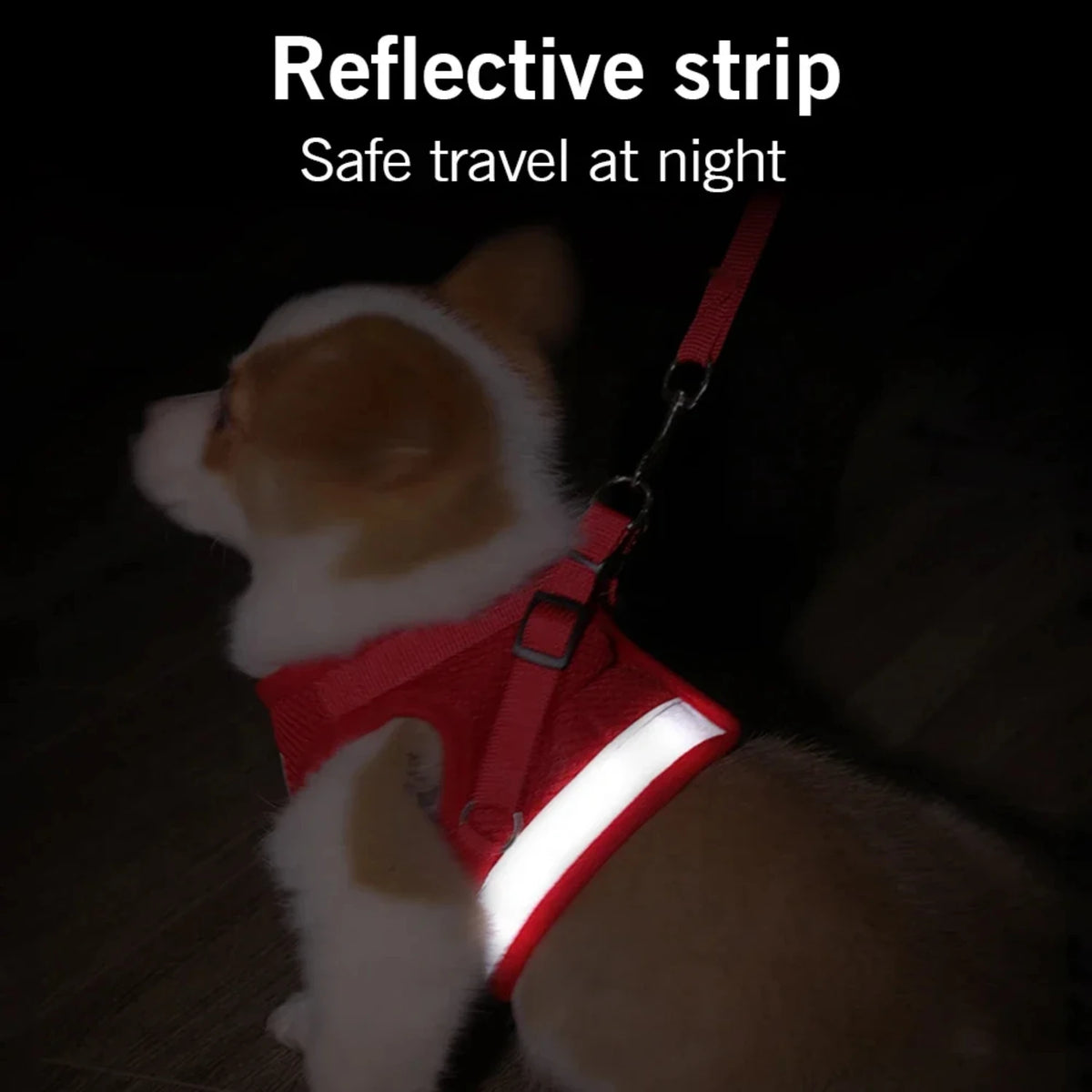 Pet Dog Cat Harness with Adjustable Leash Reflective Safety Mesh Chest Strap Collar Small Medium Dogs Vest Set XS/S/M/L/XL