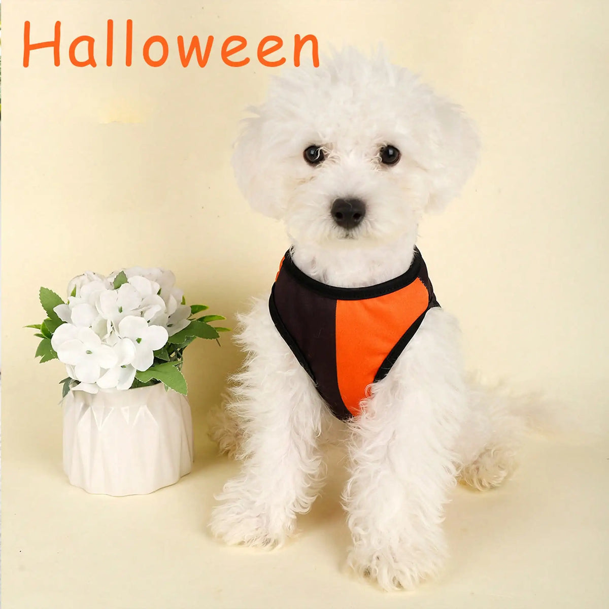 Funny Pumpkin Print Dog Costume Shirt for Holiday Parties