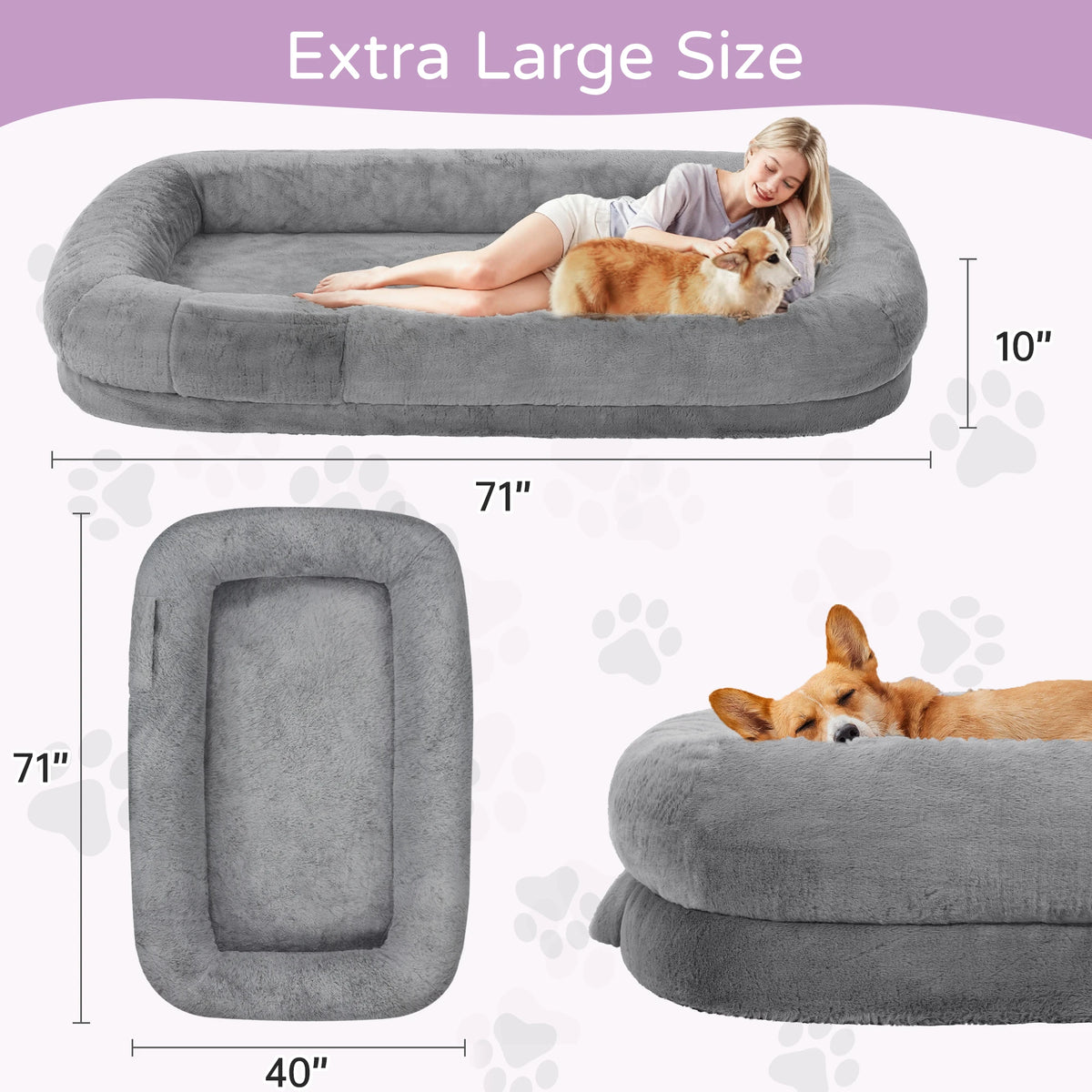 Orthopedic Human Dog Bed With Removable Cover