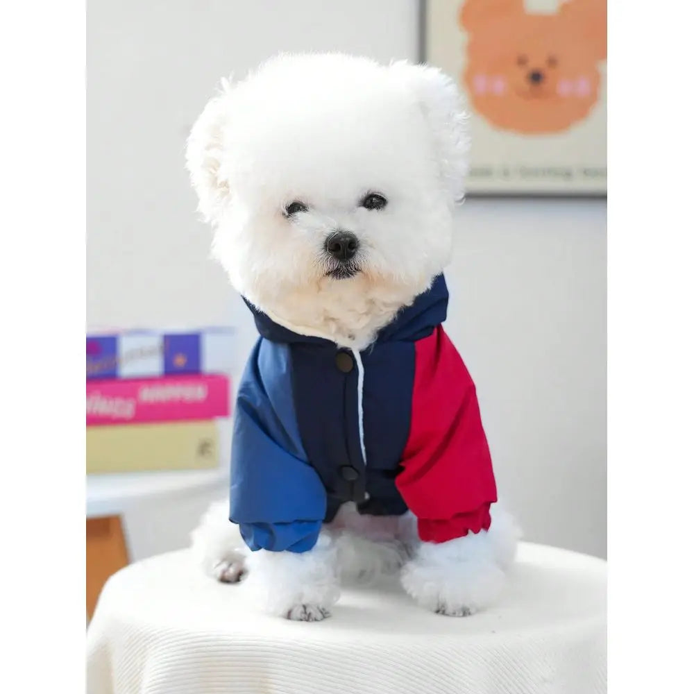 Pet Clothes, Dog Cat Outfit, Small Dog Puppy Apparel, Cute Pet Clothes, Dog Outfit, Small Dog Autumn Winter Warm Comfortable Pa
