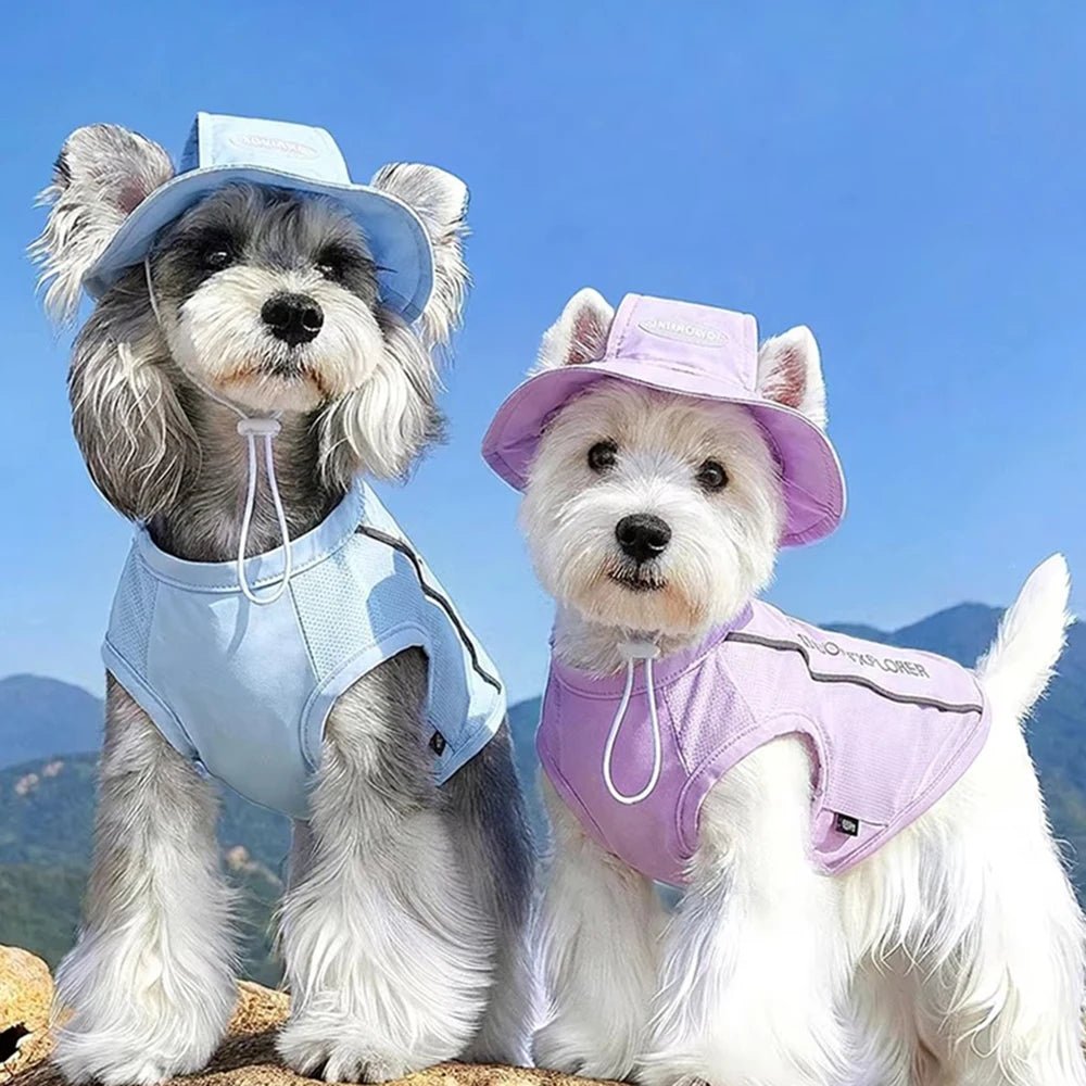 Pet Dog Summer Cooling Vest with Cap Breathable Mesh Sun Protective Shirt for Dogs&Cats,Lightweight Outdoor Pet Clothes Set