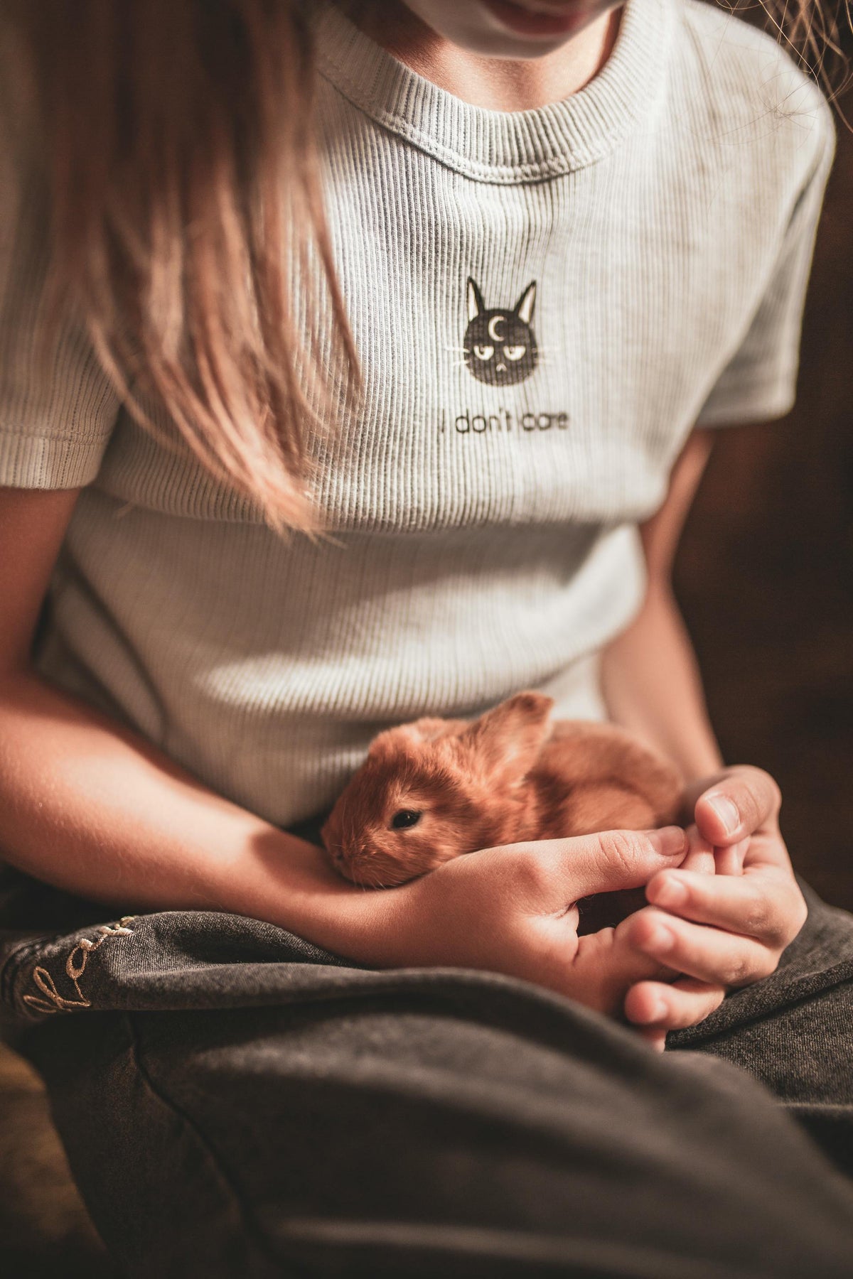 Human Clothes About Pets