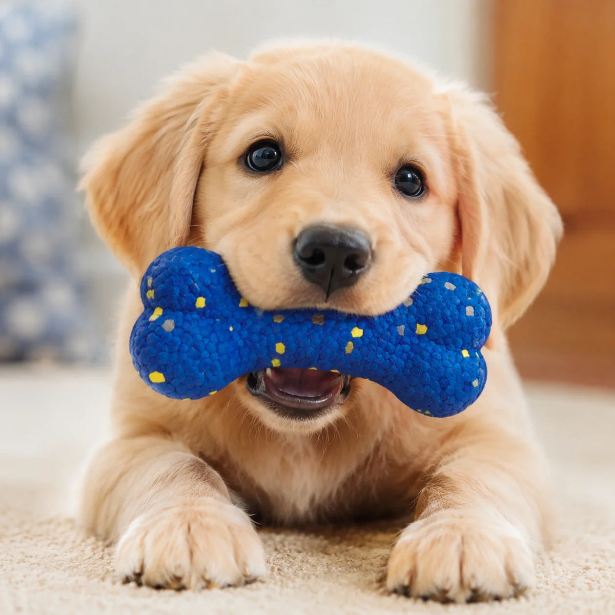 Bite Resistant Solid Dog Ball Toys for Small Large Dogs High Elasticity Pet Chew Ball Toy Non Squeak Interactive Puppy Toy