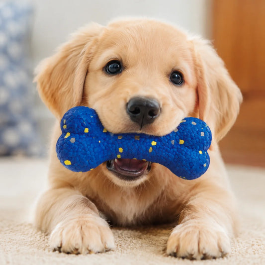 Bite Resistant Solid Dog Ball Toys for Small Large Dogs High Elasticity Pet Chew Ball Toy Non Squeak Interactive Puppy Toy