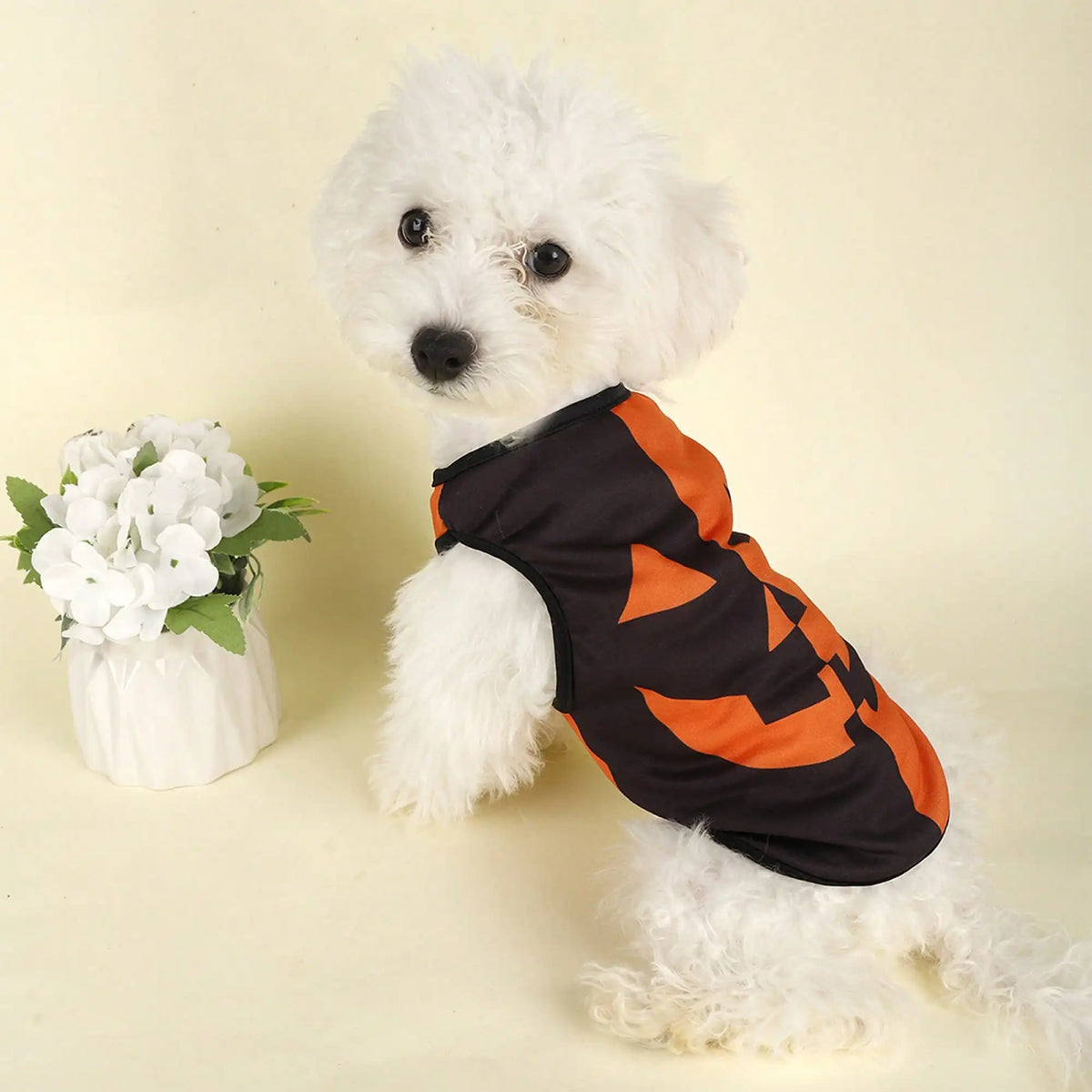 Funny Pumpkin Print Dog Costume Shirt for Holidays