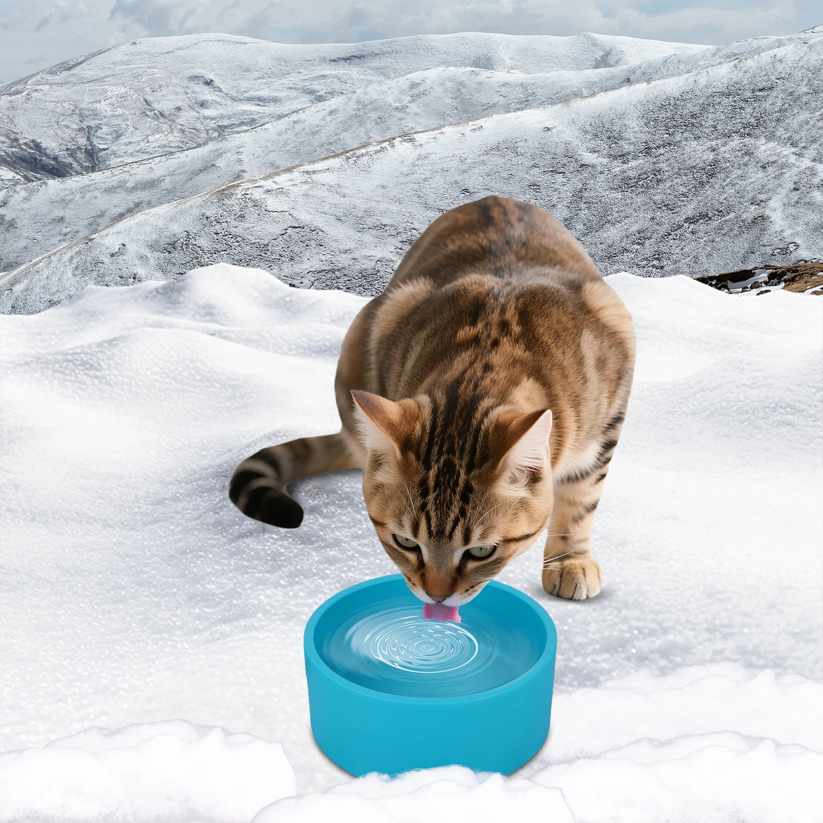 Heated Outdoor Pet Water Bowl For Winter Use