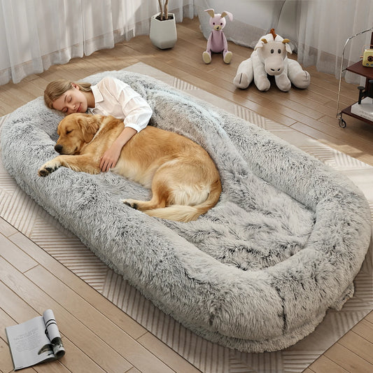 Orthopedic Human Dog Bed With Removable Cover
